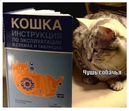 Мое имя